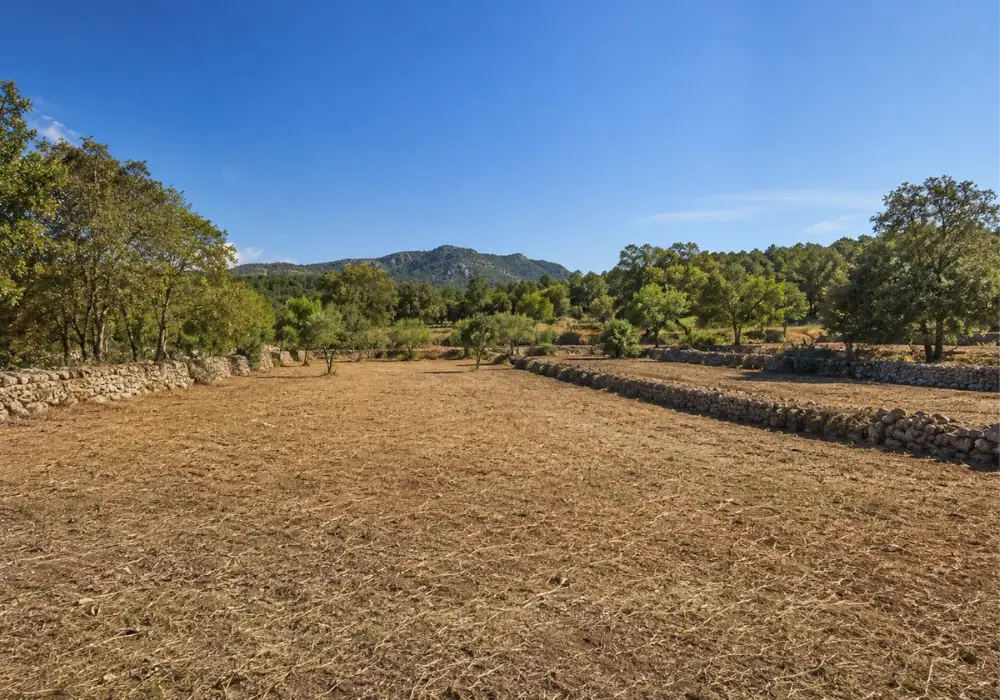 Cleared estate Mallorca