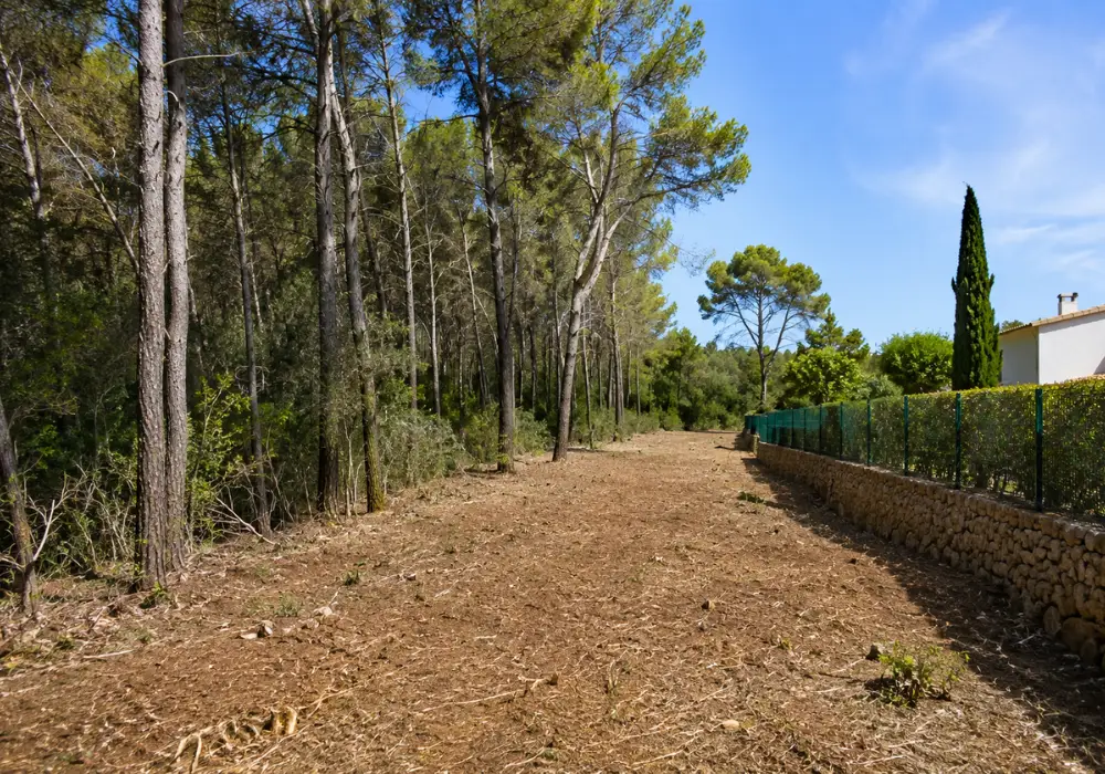 Preventive forestry Mallorca