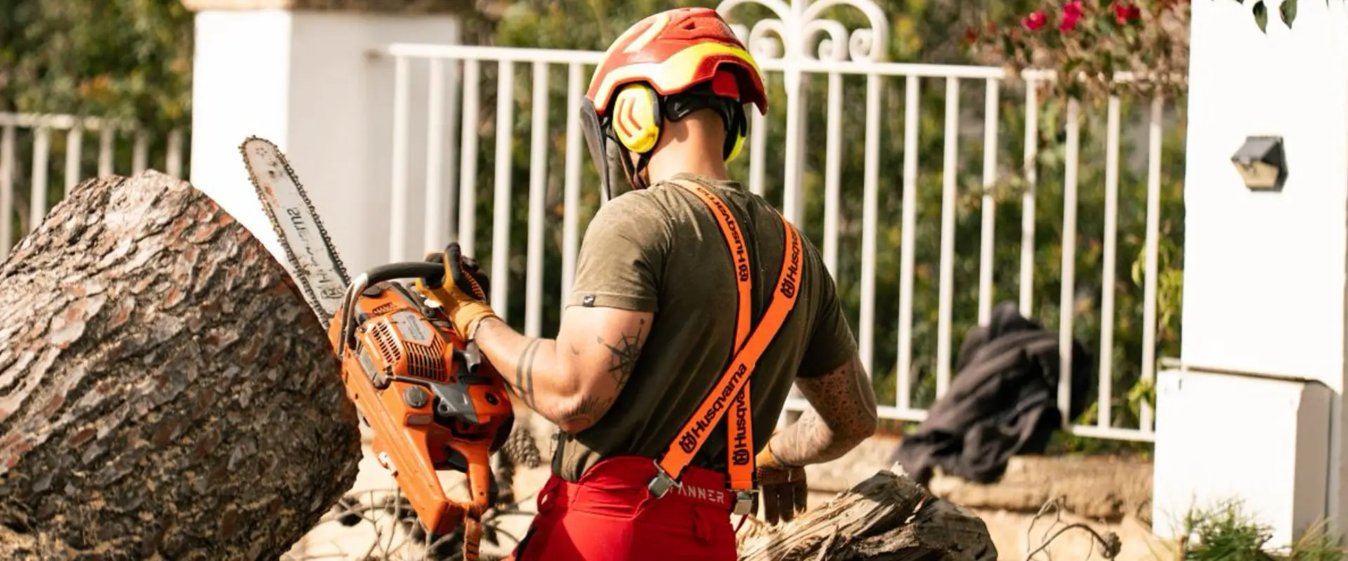 Tree and hedge pruning by Garden Solution in Mallorca