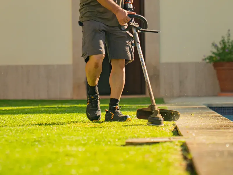 Von Garden Solution auf Mallorca gepflegter Naturrasen