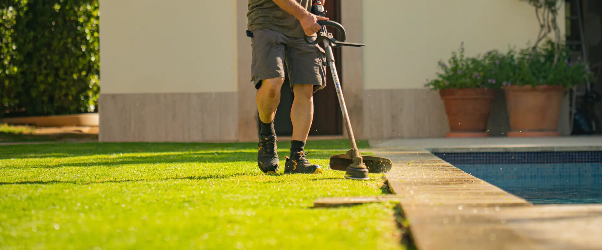 Natural lawn maintained by Garden Solution in Mallorca