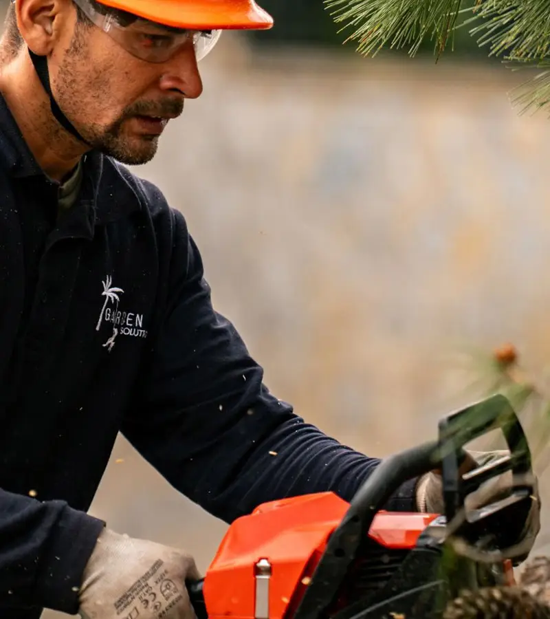 Garden maintenance for a residents' community in Mallorca