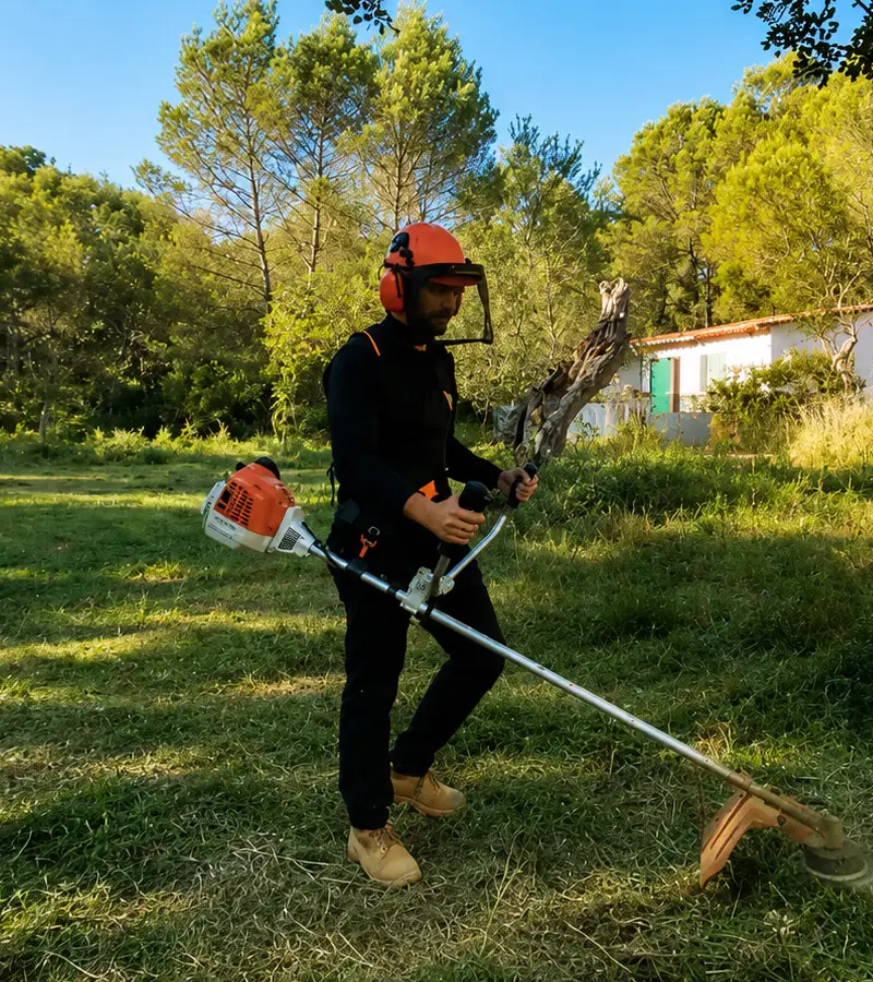 Estate clearing and maintenance in Mallorca — the Garden Solution team