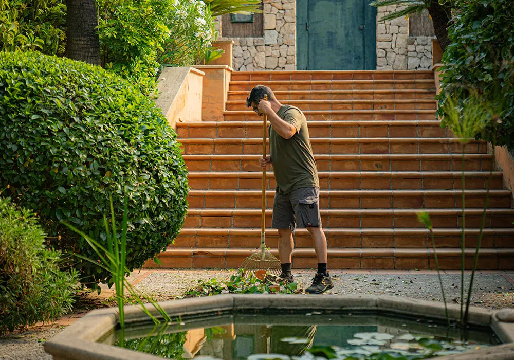Gartenpflege auf Mallorca — ausgeführte Arbeit von Garden Solution (1)