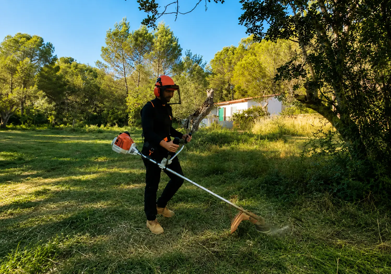 Gartenpflege auf Mallorca — ausgeführte Arbeit von Garden Solution (4)