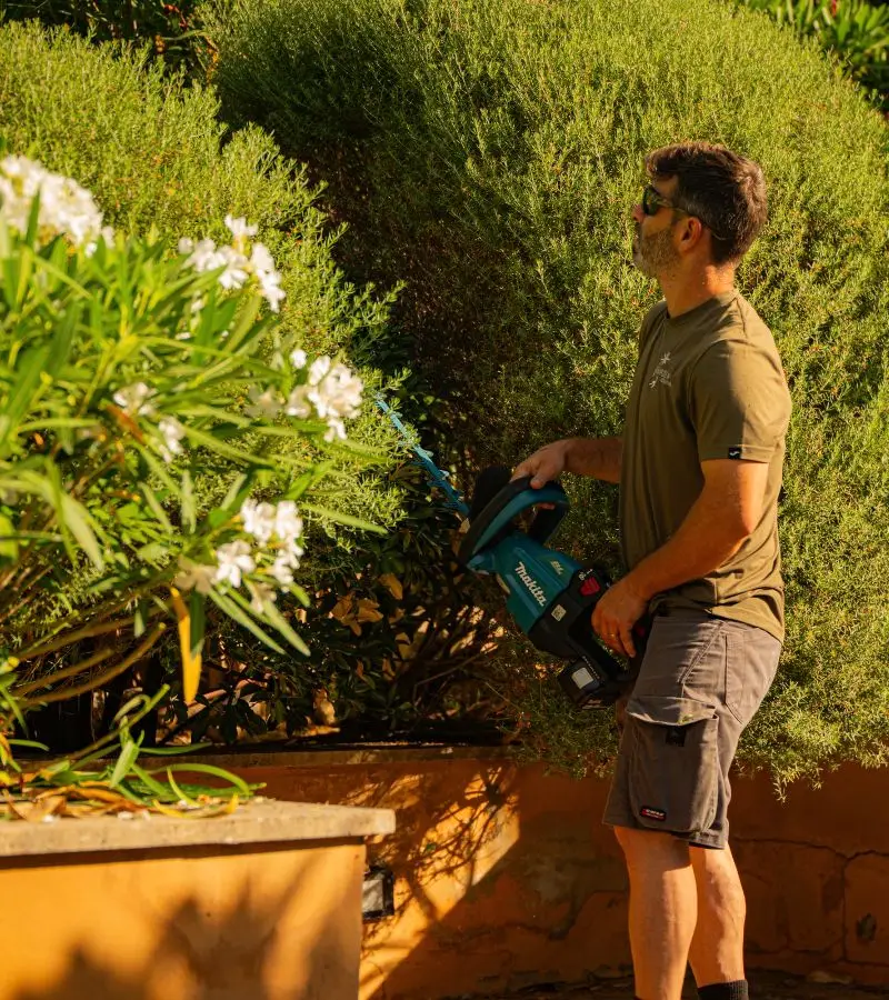 Premium-Gartenpflege in einer Villa in Andratx, Mallorca — Garden Solution